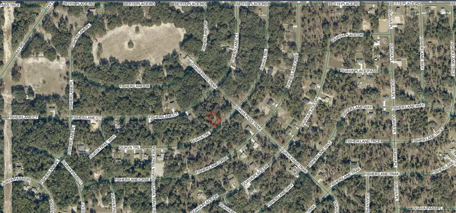 9038-1252-28 Guava Trail, Ocklawaha, FL 32179 - #2