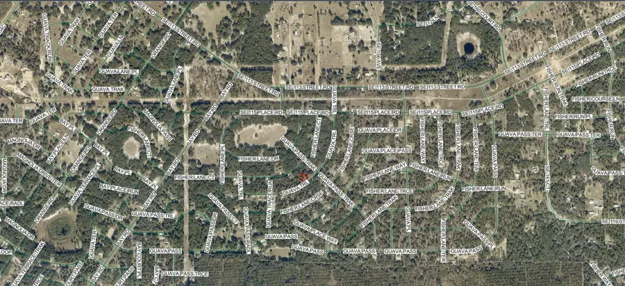 9038-1252-28 Guava Trail, Ocklawaha, FL 32179 - #3