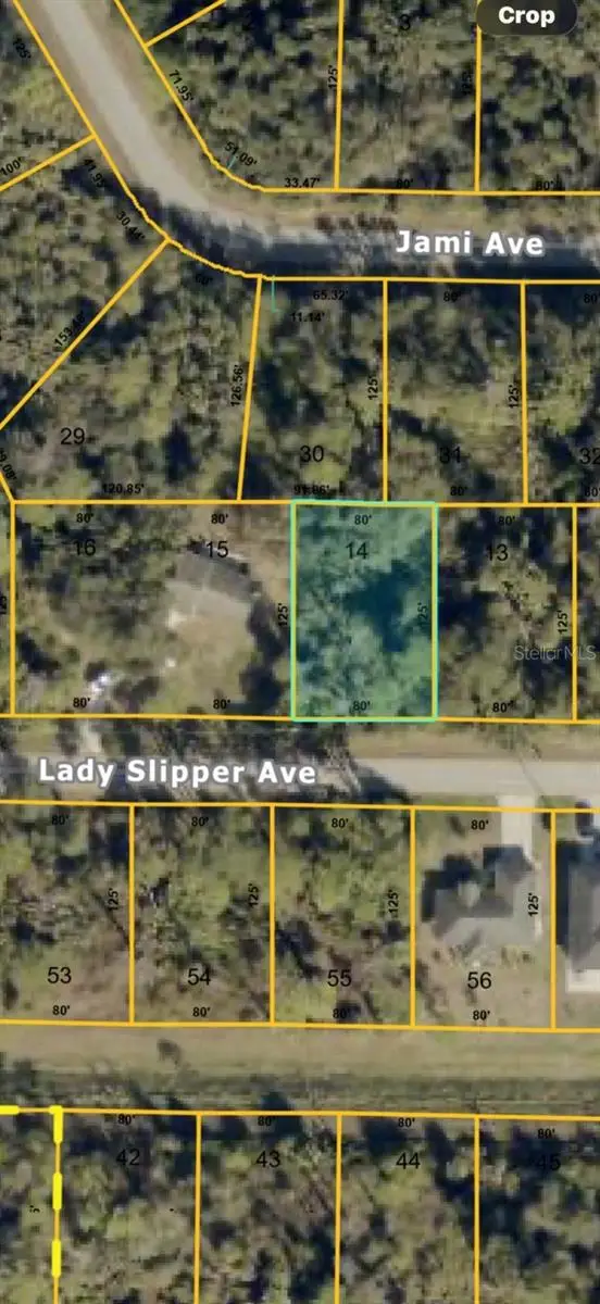 Lady Slipper Avenue, North Port, FL 34291 - #1