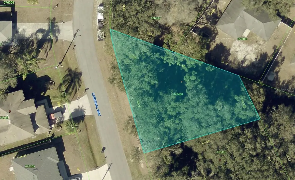 807 Cardinal Way, Poinciana, FL 34759 - #1