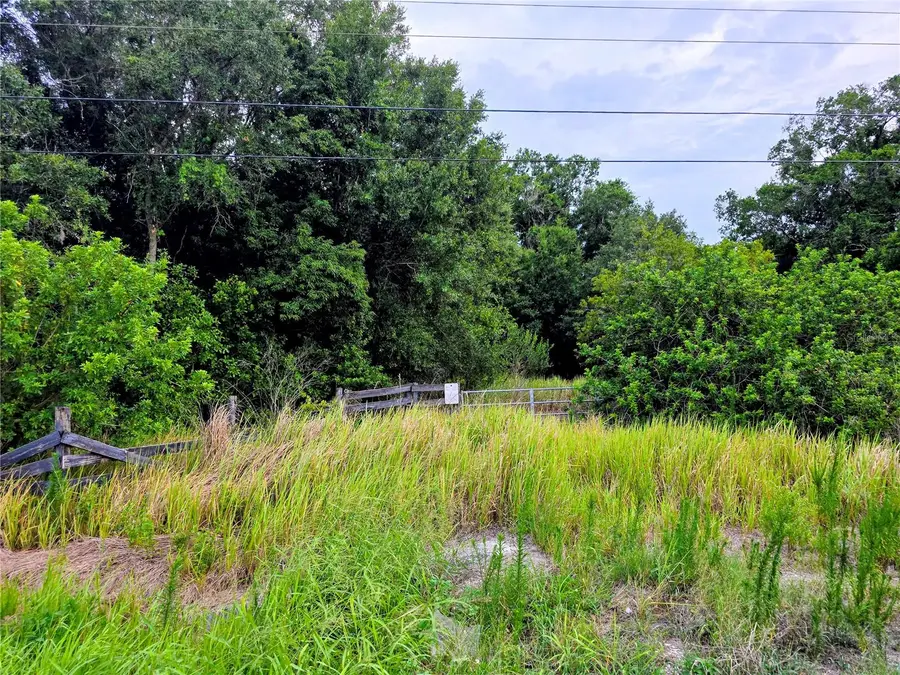Avon Park Cutoff Road, Fort Meade, FL 33841 - #2