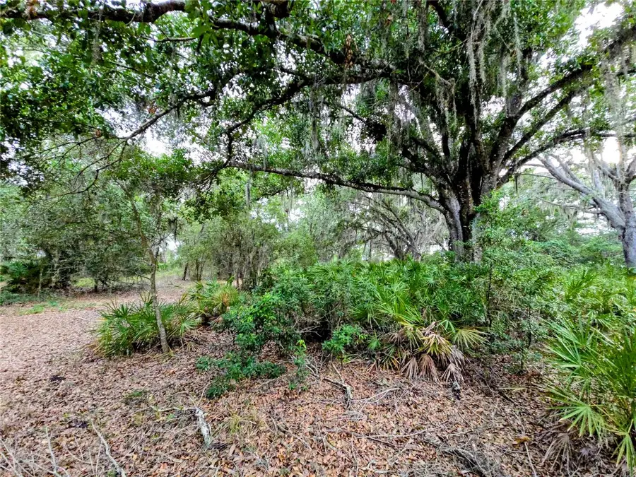 Avon Park Cutoff Road, Fort Meade, FL 33841 - #3