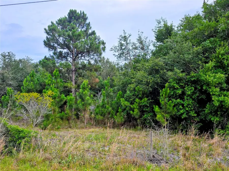 0 Avon Park Cutoff Road, Fort Meade, FL 33841 - #2