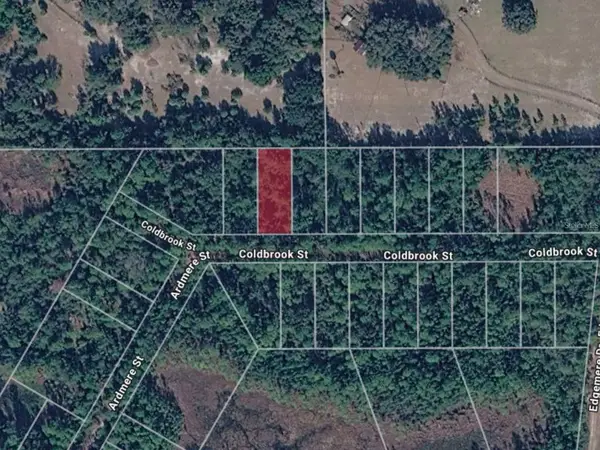 116 Coldbrook Street, GEORGETOWN, FL 32139