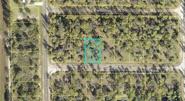 310 Murphy Avenue, LEHIGH ACRES, FL 33972