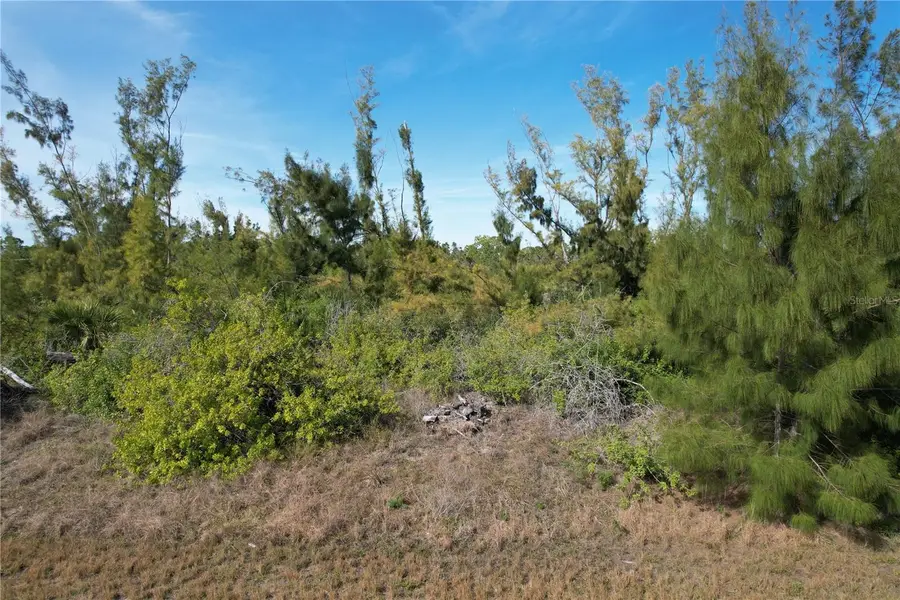 10565 Abello Road, Port Charlotte, FL 33981 - #2