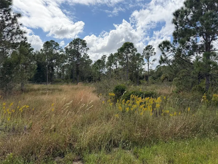 27409 Mandalay Drive, Punta Gorda, FL 33955 - Image #2