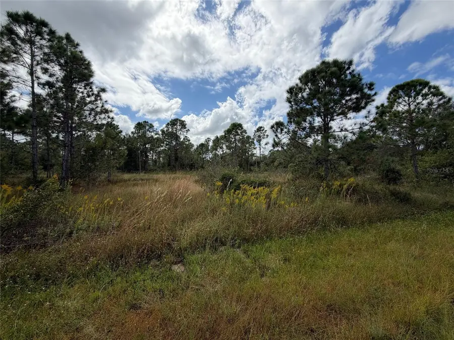 27409 Mandalay Drive, Punta Gorda, FL 33955 - Image #3