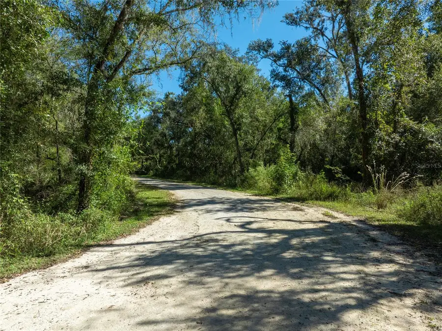 Lot 1 Chipstone Street, Webster, FL 33597 - Image #3
