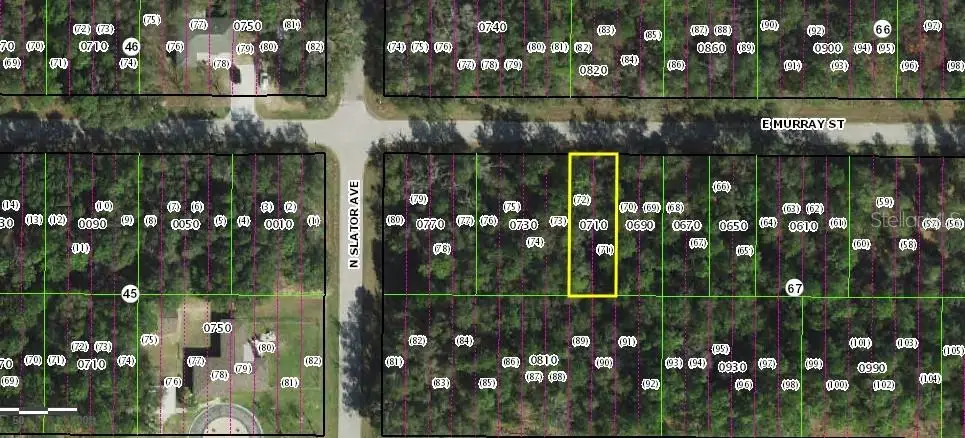 3212 E Murray Street, Inverness, FL 34453 - Image #1