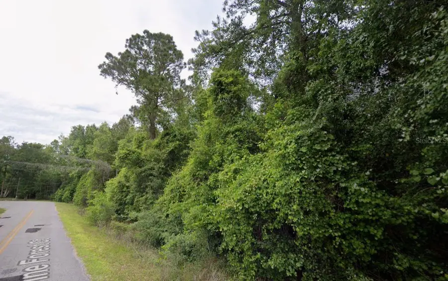 291 SW Pine Forest Court, Lake City, FL 32024 - Image #2