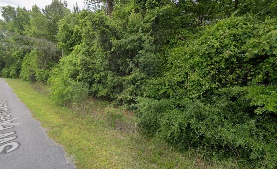 291 SW Pine Forest Court, Lake City, FL 32024 - Image #3