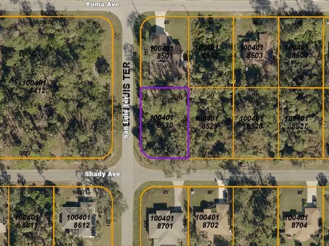 Shady Avenue, North Port, FL 34286 - Image #2