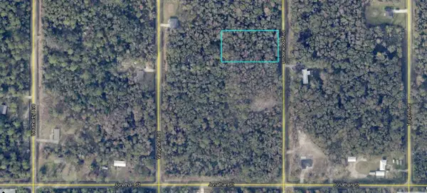 10695 Underwood Avenue, HASTINGS, FL 32145