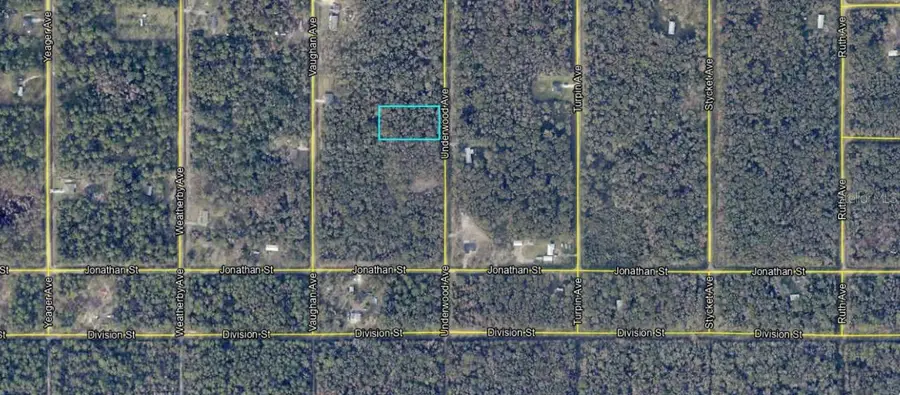 10695 Underwood Avenue, Hastings, FL 32145 - Image #2