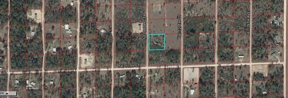 Northeast 126 Court, Williston, FL 32696 - Image #1