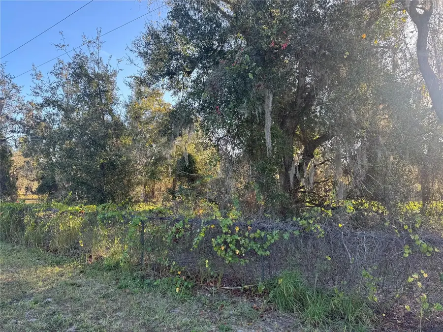 7178 SW Hull Avenue, Arcadia, FL 34269 - Image #3