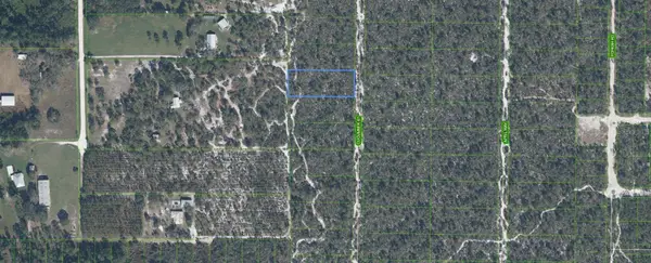 5317 Cucumber Street, SEBRING, FL 33875