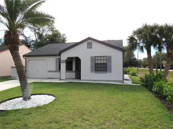 20005 Goldcup Court, PORT CHARLOTTE, FL 33952