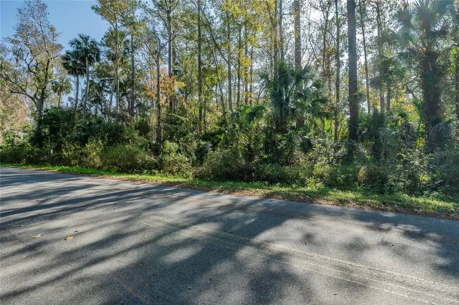 55848 Fern Road, Astor, FL 32102 - Image #3