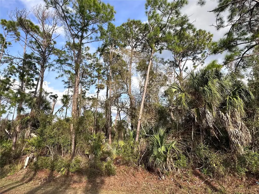 Cleo Street, North Port, FL 34286 - Image #3