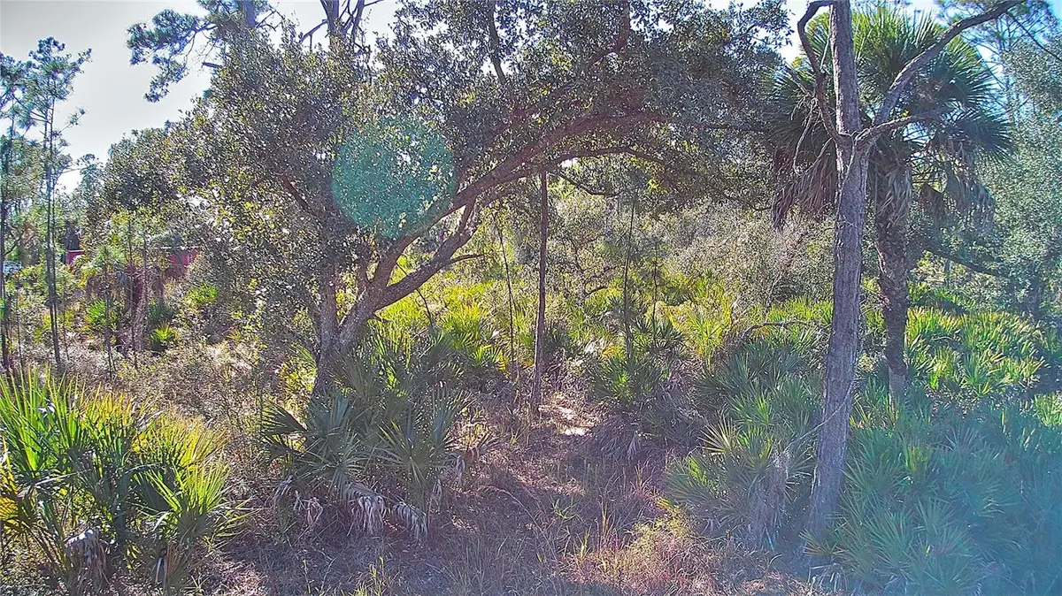 13093 Harbison Avenue, Port Charlotte, FL 33953 - Image #1