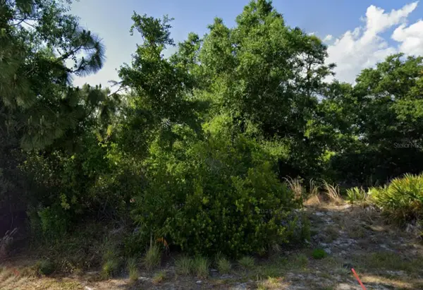 11062 Sandrift Avenue, ENGLEWOOD, FL 34224