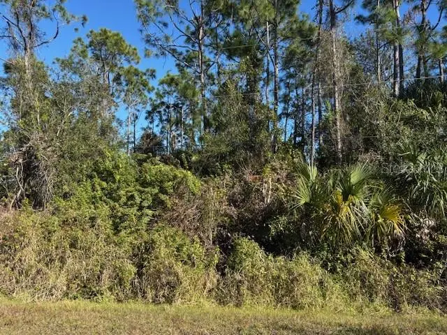 13636 Sulky Drive, Punta Gorda, FL 33955 - Image #3