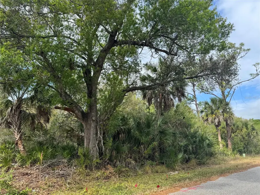 2433 Largo Street, Punta Gorda, FL 33980 - #2