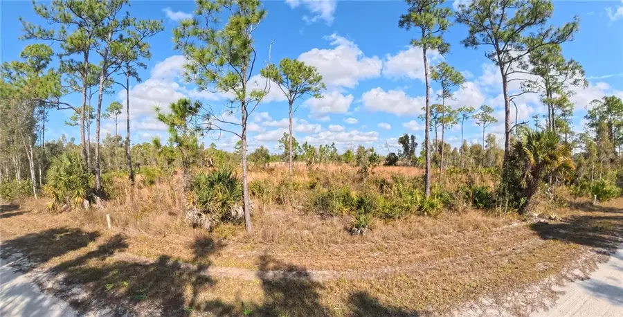 12196 Caravan Drive, Punta Gorda, FL 33955 - #3