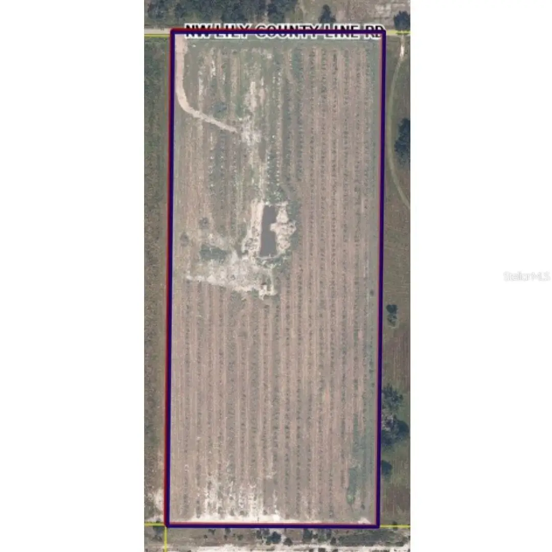 8153 Lily Co Rd, Arcadia, FL 34266 - #1