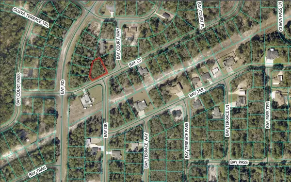 Bay Court, OCKLAWAHA, FL 32179