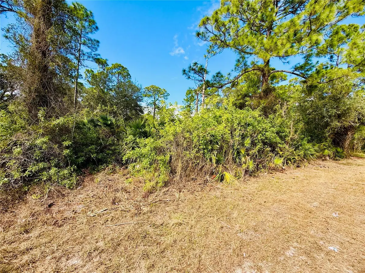 2007 Truman Avenue, Alva, FL 33920 - Image #1