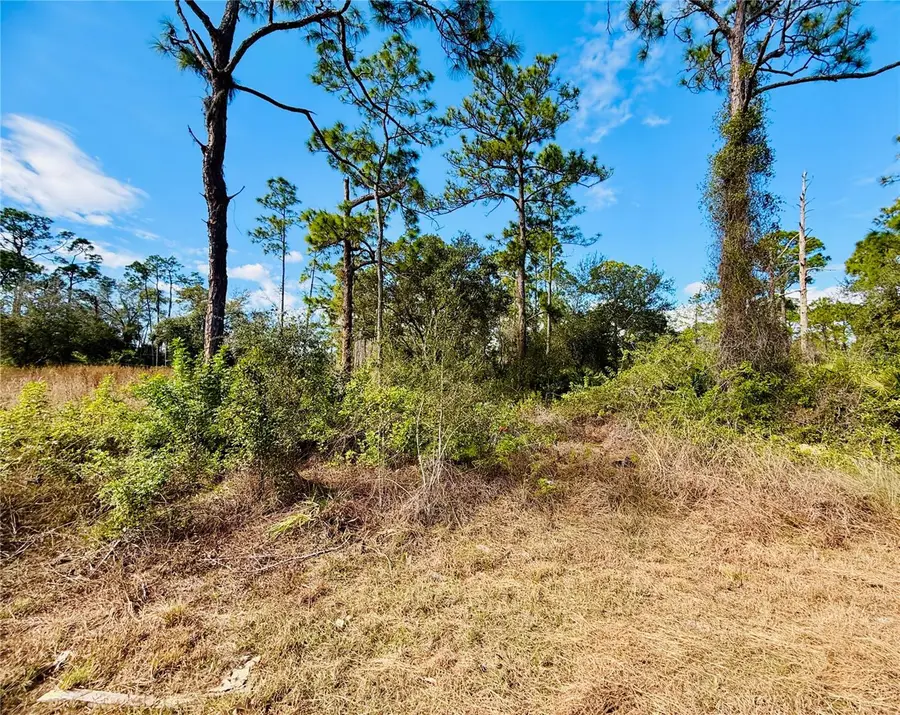 2007 Truman Avenue, Alva, FL 33920 - Image #3