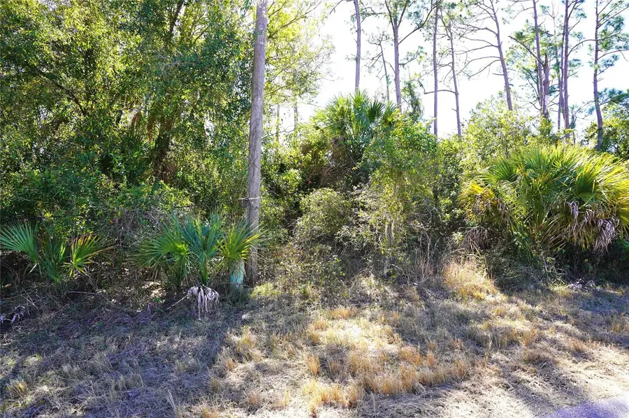 Sedberry Avenue, North Port, FL 34288 - #2