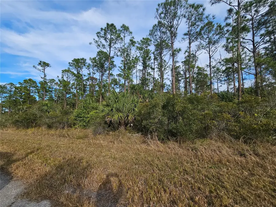 Blueleaf Drive, North Port, FL 34288 - #3