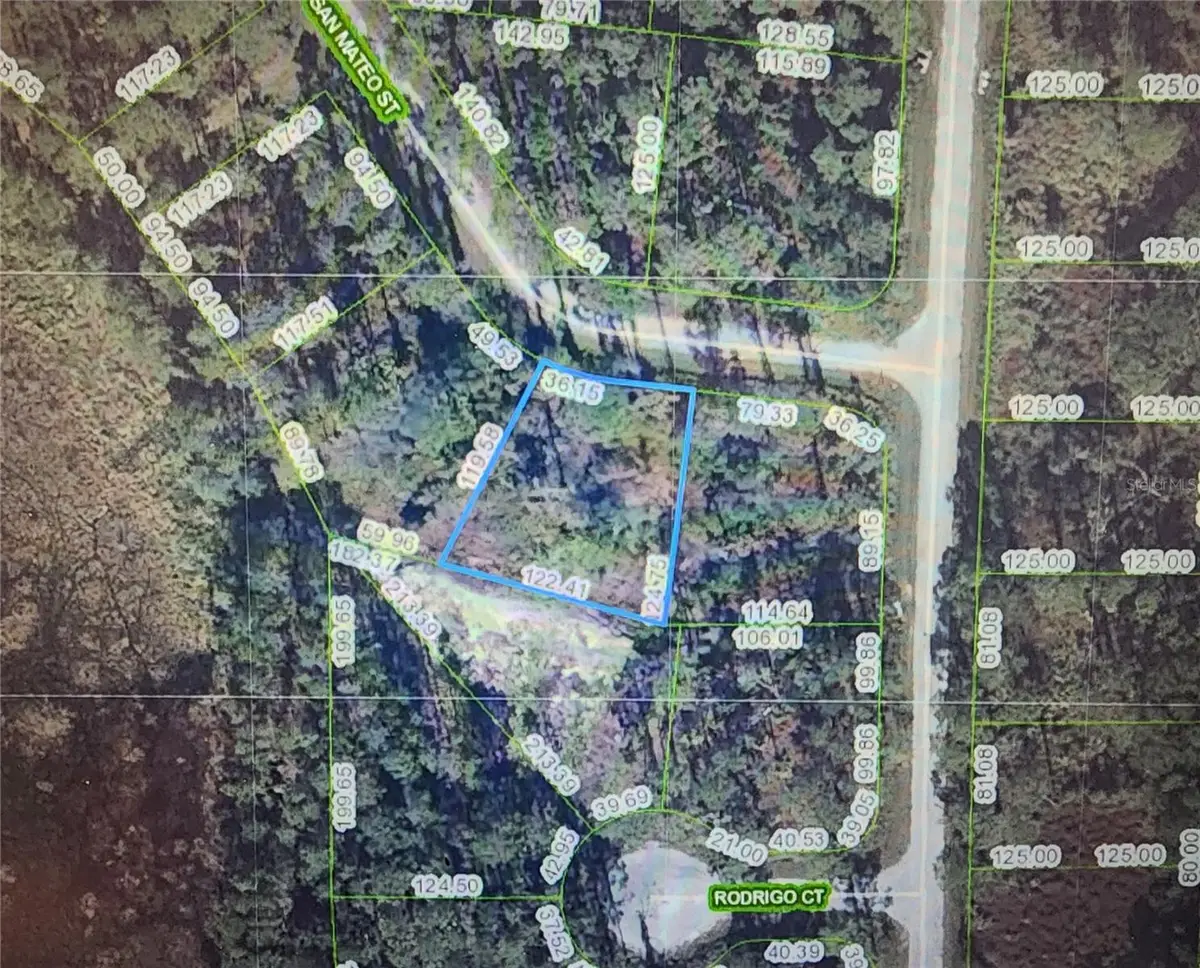 8674 San Mateo Street, Sebring, FL 33872 - #1