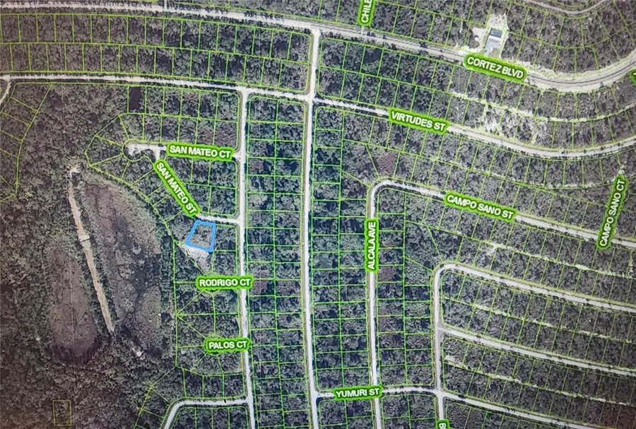 8674 San Mateo Street, Sebring, FL 33872 - #3