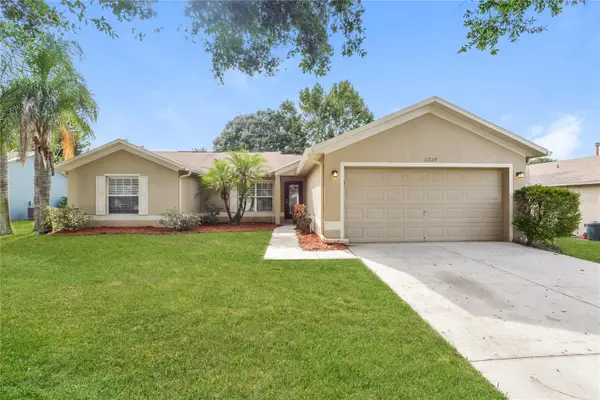 11729 Chapelle Court, CLERMONT, FL 34711