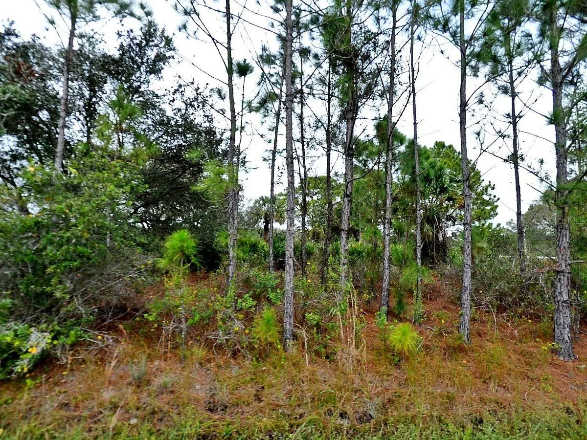 Loffreda Lot #8 Avenue, North Port, FL 34291 - #1