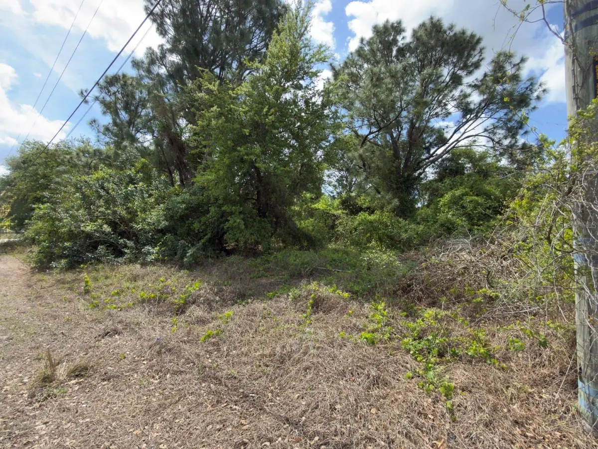 4529 28th Street Sw, Lehigh Acres, FL 33973 - #1
