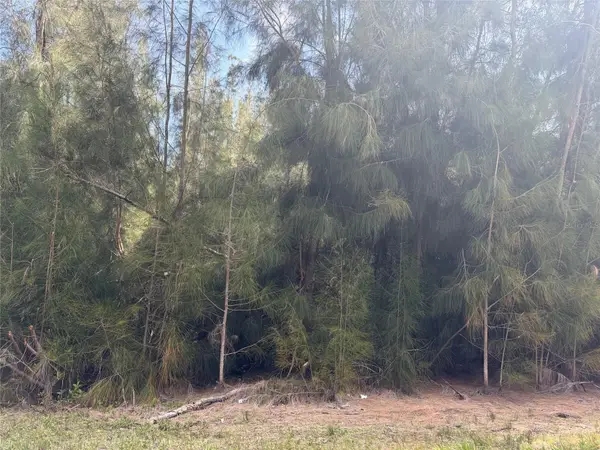 12088 Estrella Boulevard, PUNTA GORDA, FL 33955