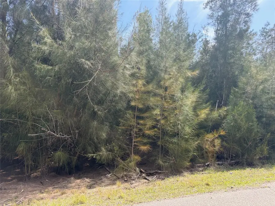 12088 Estrella Boulevard, Punta Gorda, FL 33955 - #2