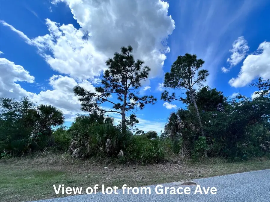 12231 Grace Avenue, Port Charlotte, FL 33981 - #2