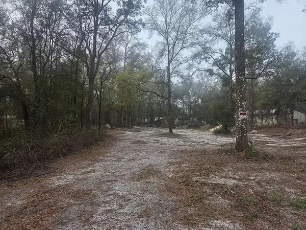 SW 156th Place, DUNNELLON, FL 34432