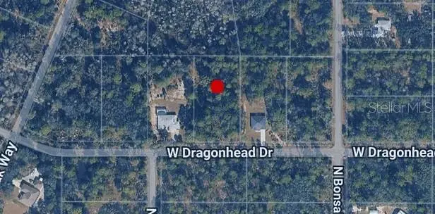 11268 W Dragonhead Drive, Crystal River, FL 34428 - #2