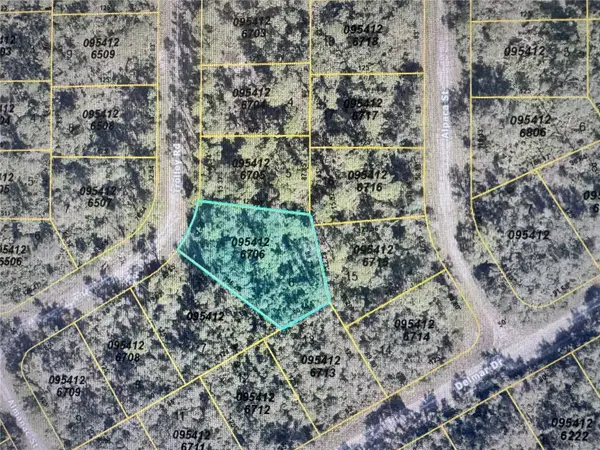Trolley Road, NORTH PORT, FL 34291