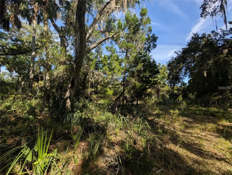 11009 N Withla Bluff Point, Inglis, FL 34449 - #2