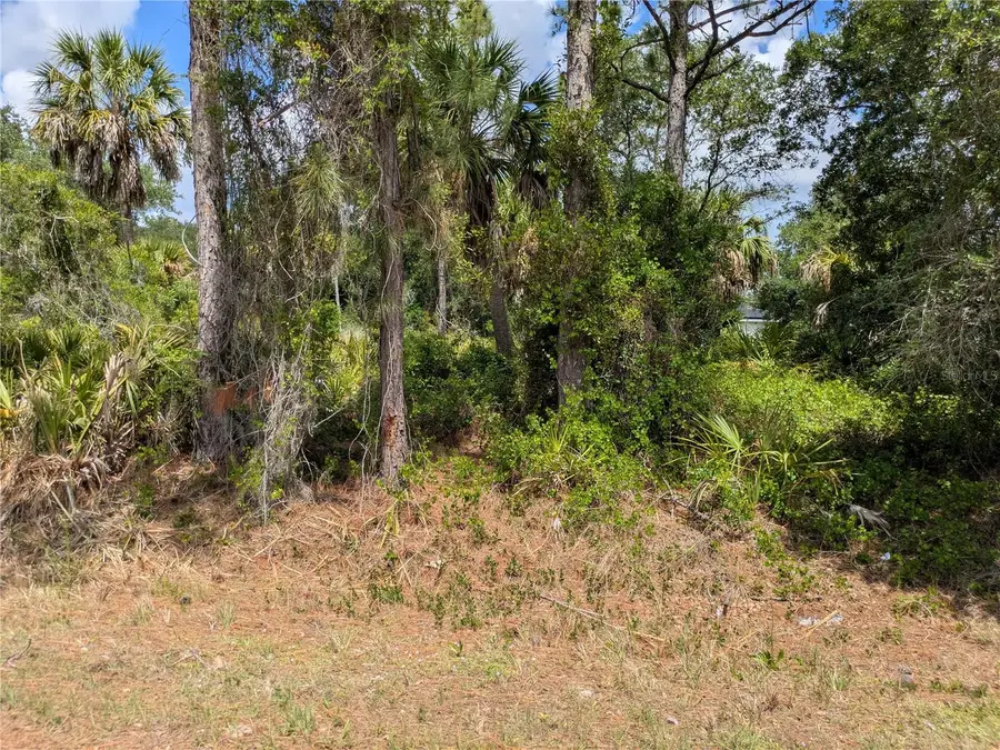 Delight Avenue, North Port, FL 34288 - #2
