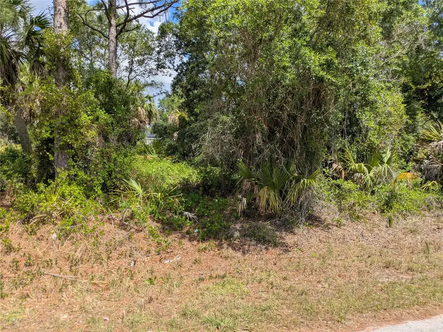 Delight Avenue, North Port, FL 34288 - #3